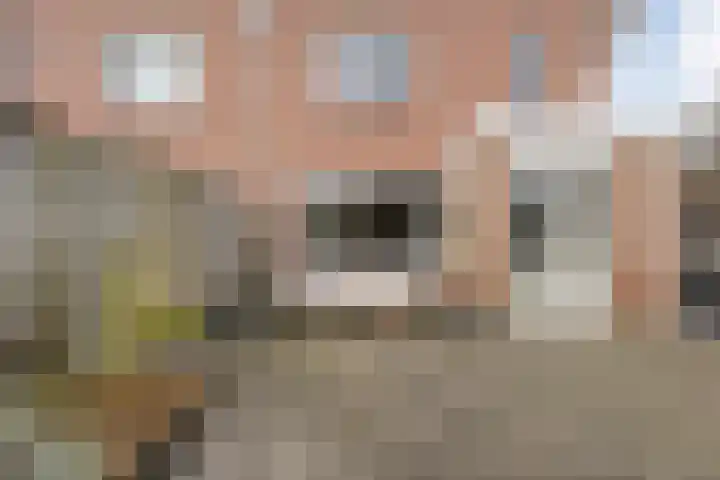 Loozermars-Zuid 44 Gramsbergen thumbnail 45