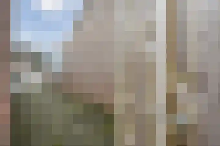 Loozermars-Zuid 44 Gramsbergen thumbnail 46