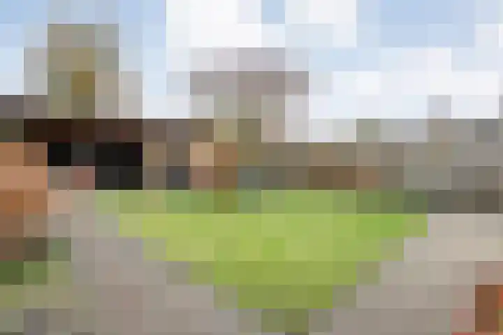 Loozermars-Zuid 44 Gramsbergen thumbnail 47