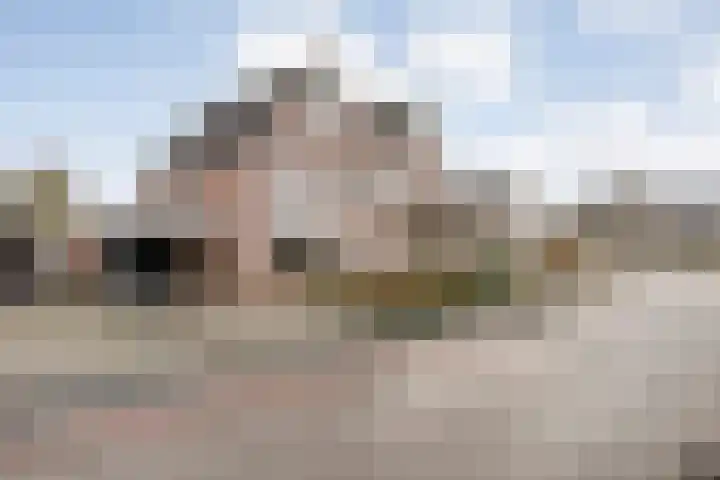 Loozermars-Zuid 44 Gramsbergen thumbnail 48