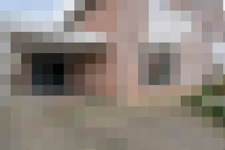 Loozermars-Zuid 44 Gramsbergen thumbnail 49