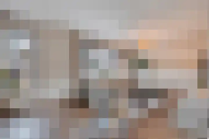 Loozermars-Zuid 44 Gramsbergen thumbnail 5