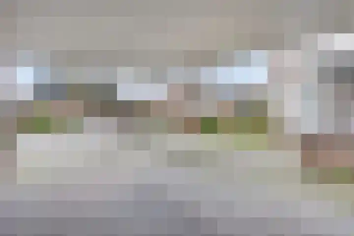 Loozermars-Zuid 44 Gramsbergen thumbnail 50