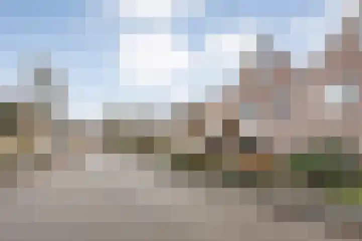 Loozermars-Zuid 44 Gramsbergen thumbnail 51