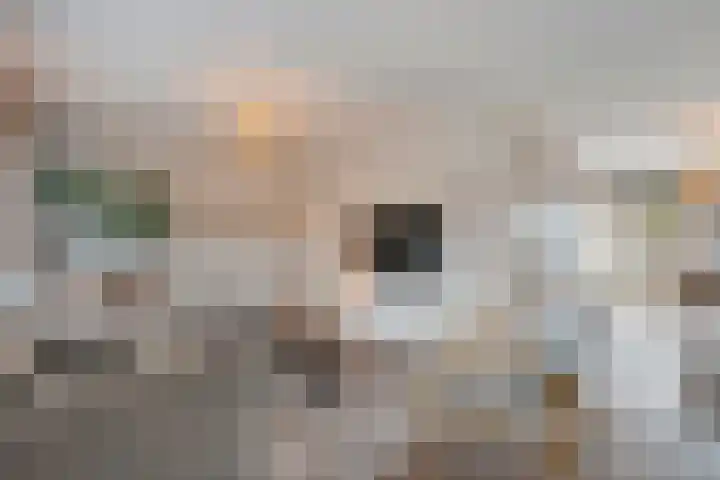 Loozermars-Zuid 44 Gramsbergen thumbnail 6