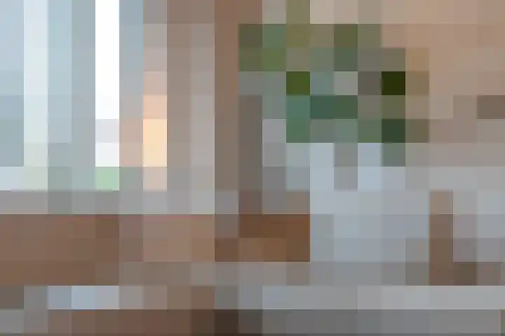 Loozermars-Zuid 44 Gramsbergen thumbnail 8