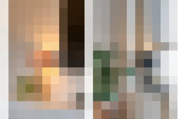 Loozermars-Zuid 44 Gramsbergen thumbnail 9