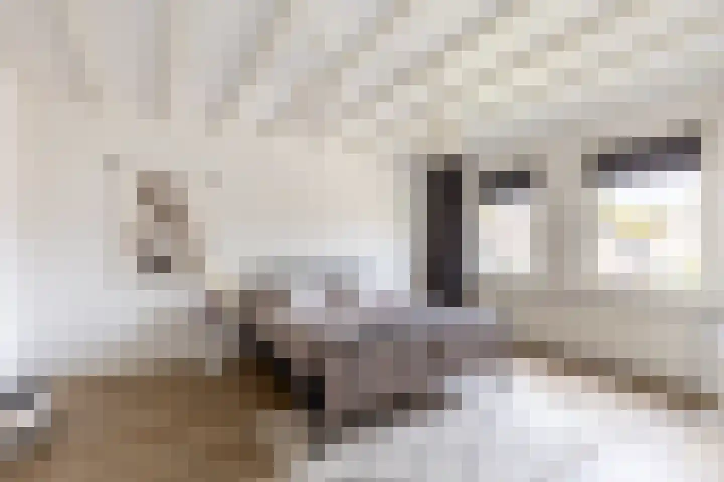 Lopensehoeve 20 Vught thumbnail 19