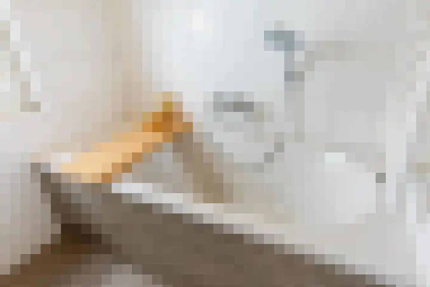 Lopensehoeve 20 Vught thumbnail 25