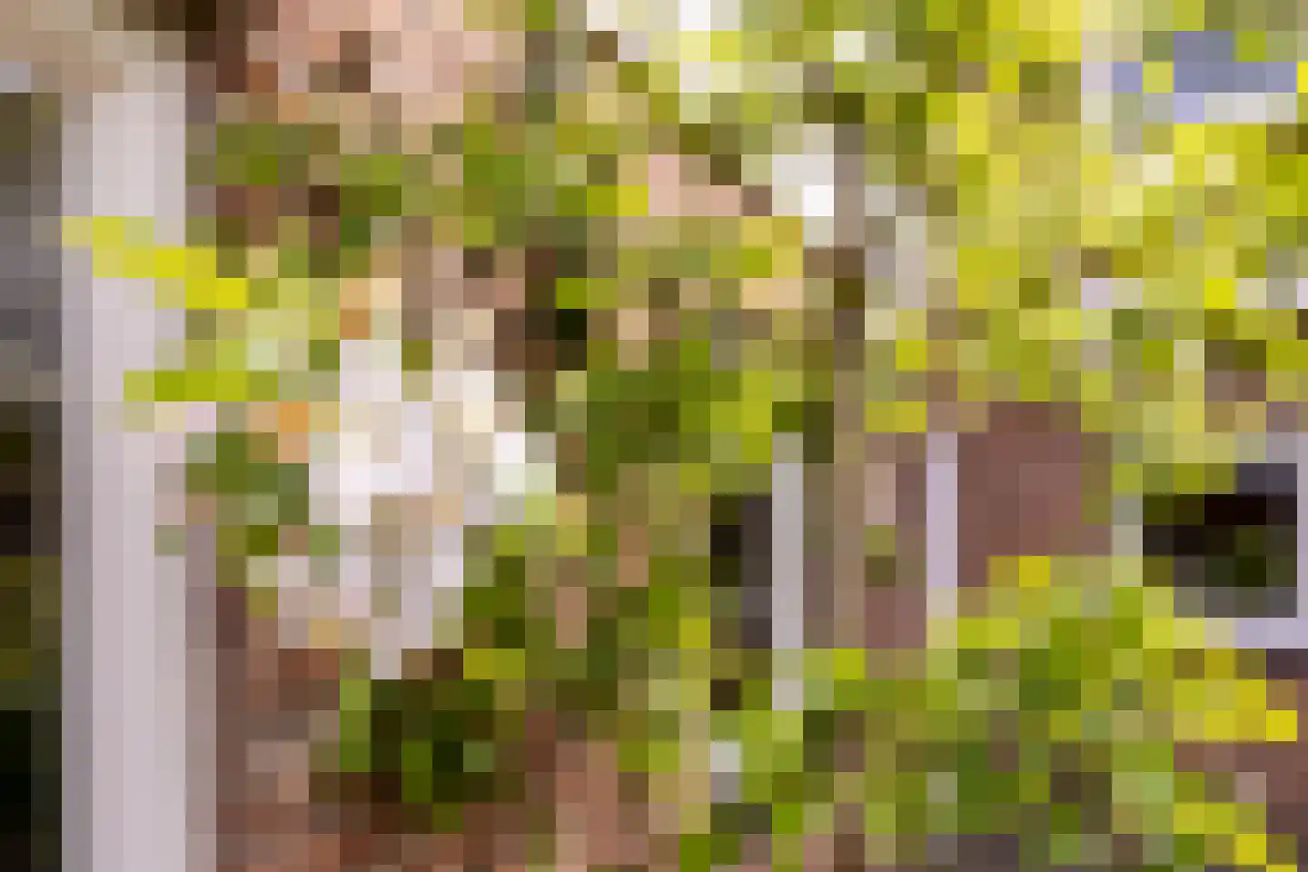 Lopensehoeve 20 Vught thumbnail 39