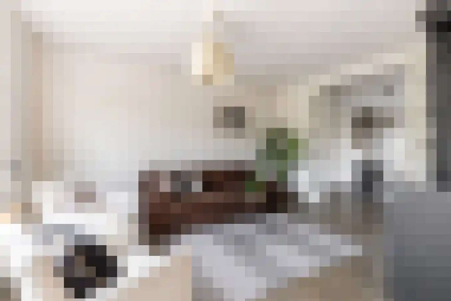 Lopensehoeve 20 Vught thumbnail 4