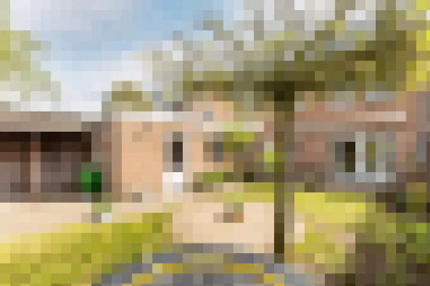 Lopensehoeve 20 Vught thumbnail 41