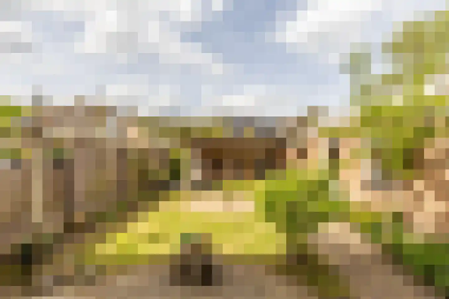 Lopensehoeve 20 Vught thumbnail 46