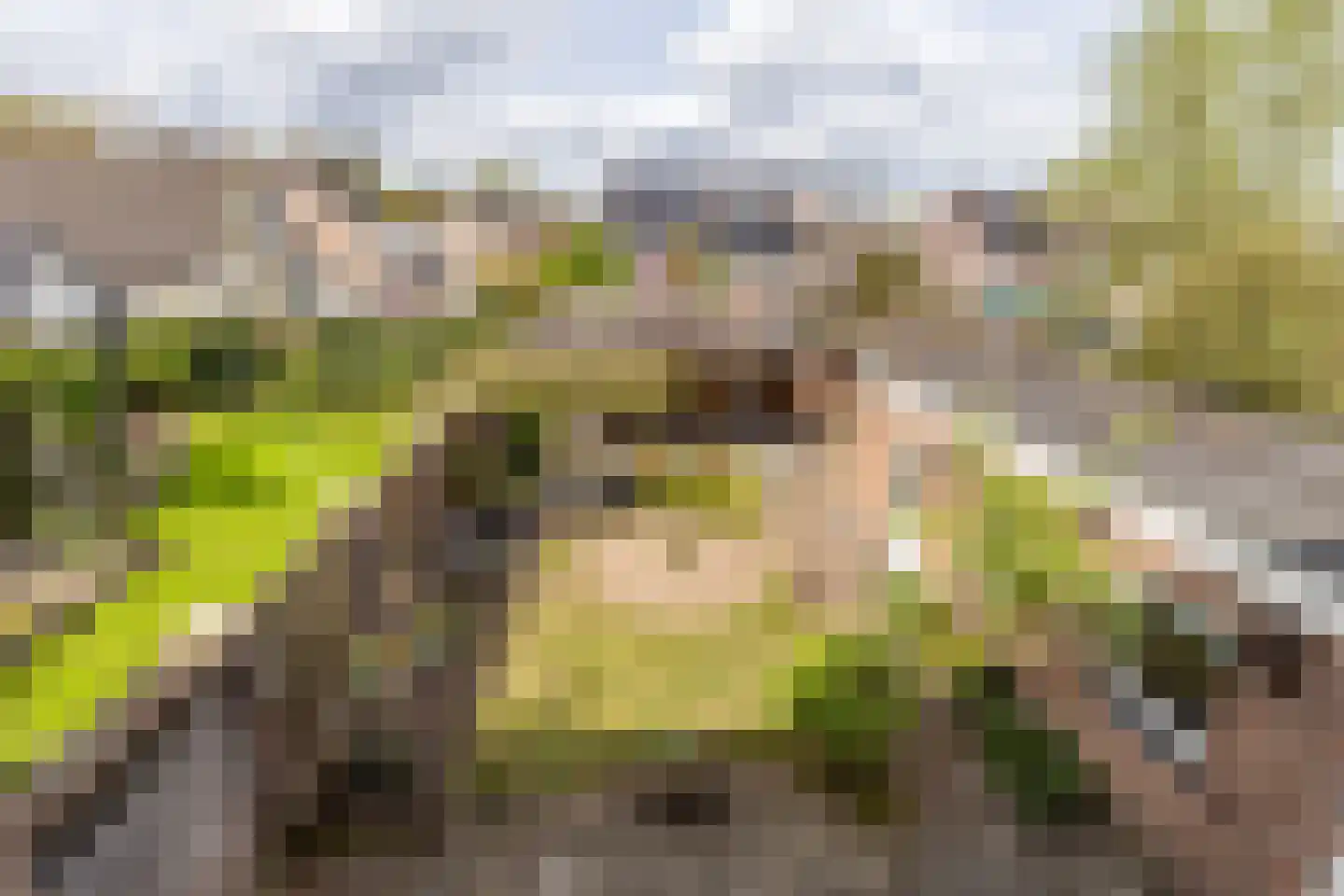 Lopensehoeve 20 Vught thumbnail 47
