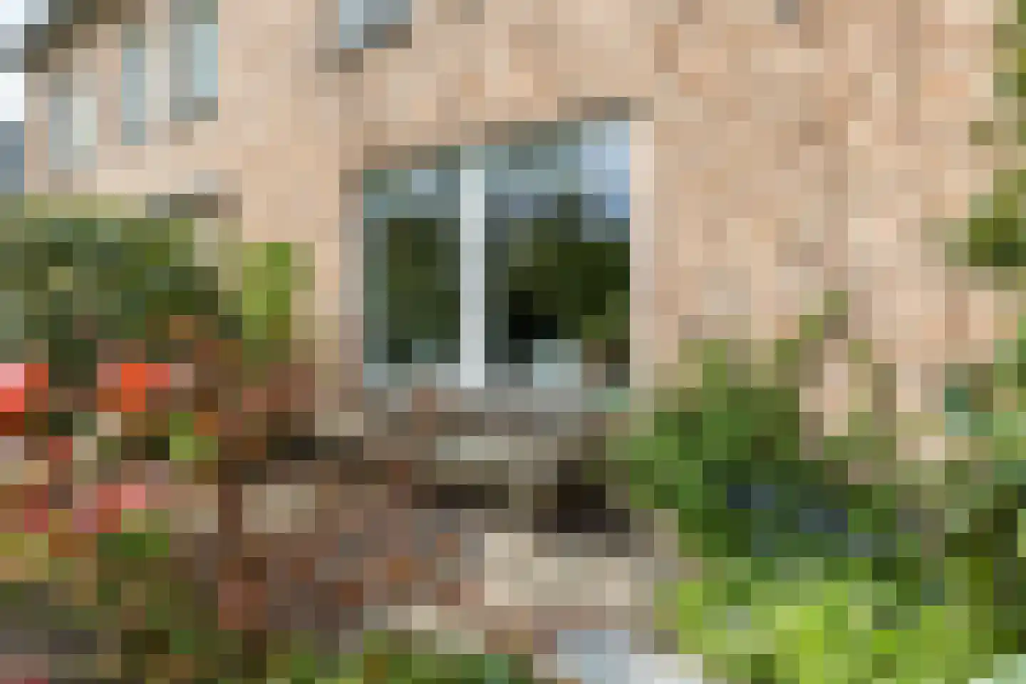 Lopensehoeve 20 Vught thumbnail 50