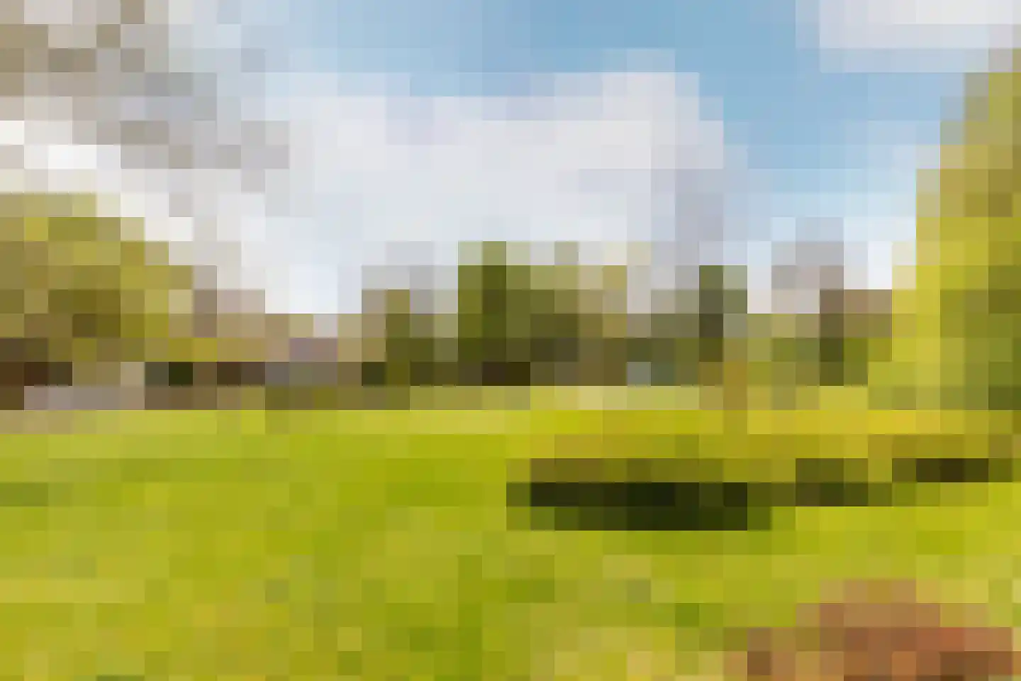 Lopensehoeve 20 Vught thumbnail 52