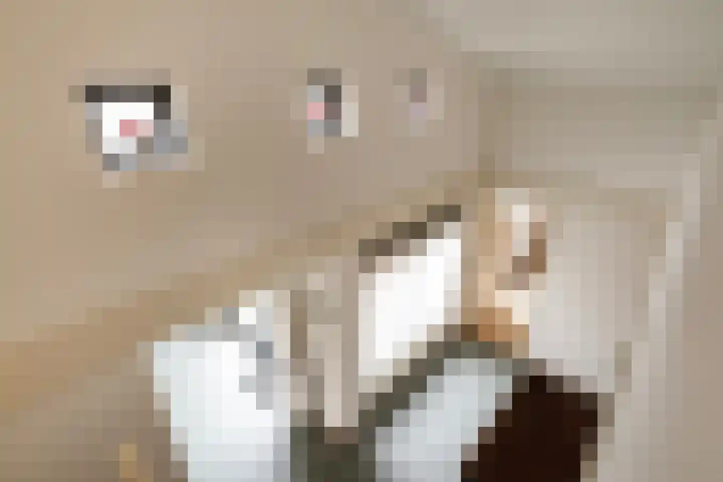 Loper 13 Epe thumbnail 24