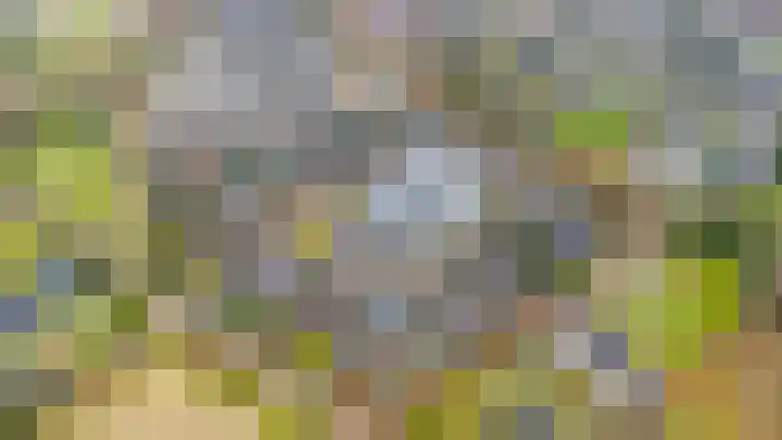 Loper 13 Epe thumbnail 37