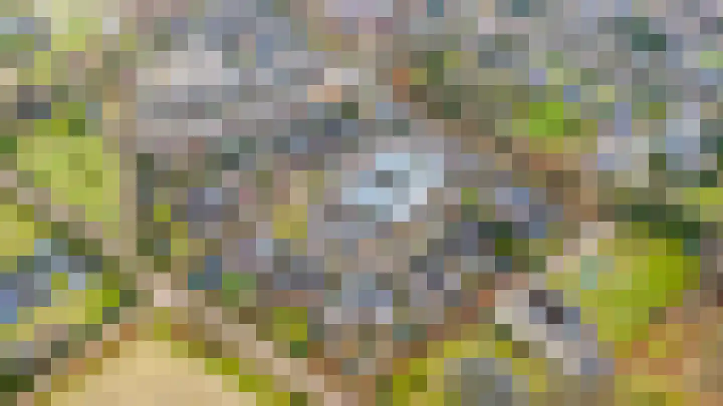 Loper 13 Epe thumbnail 45