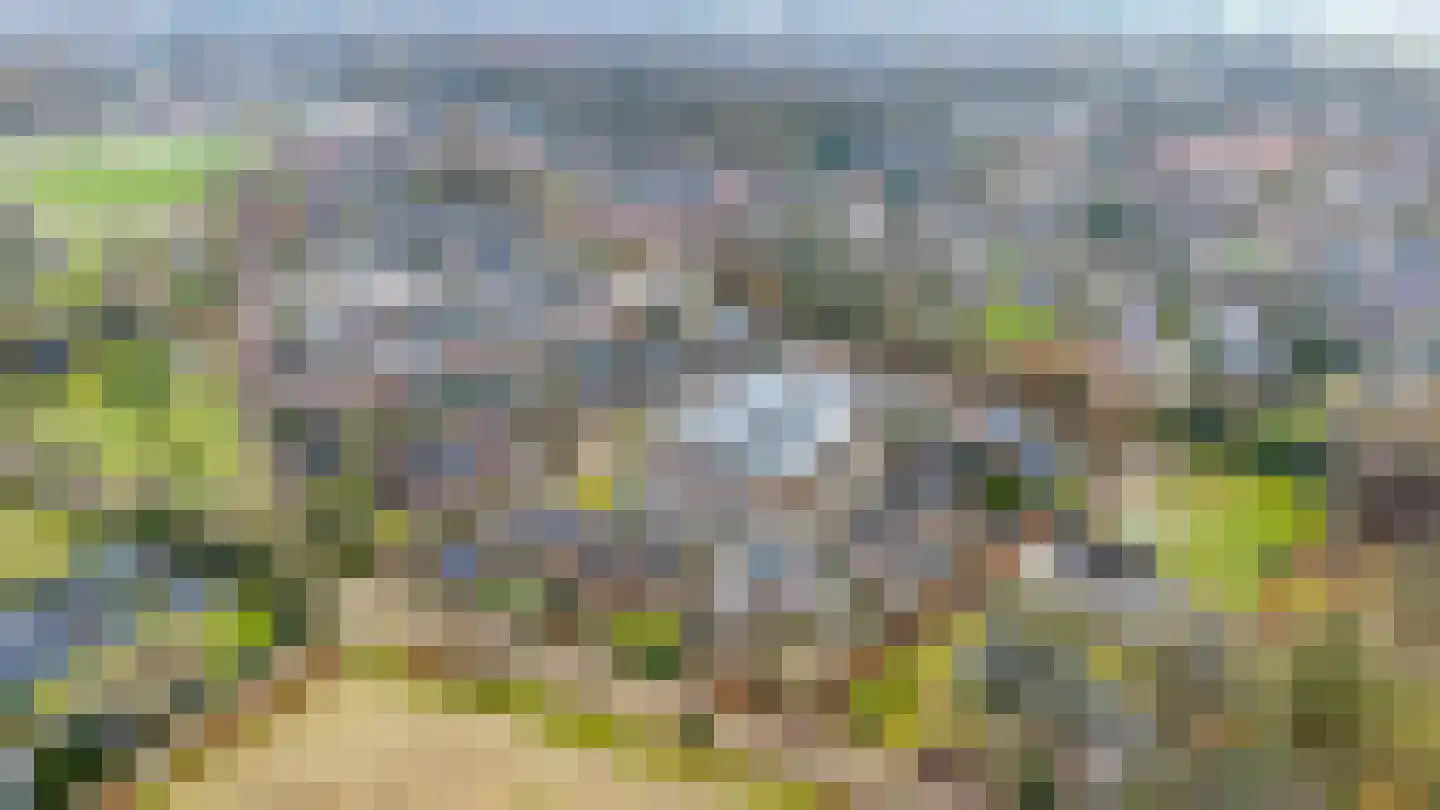 Loper 13 Epe thumbnail 5