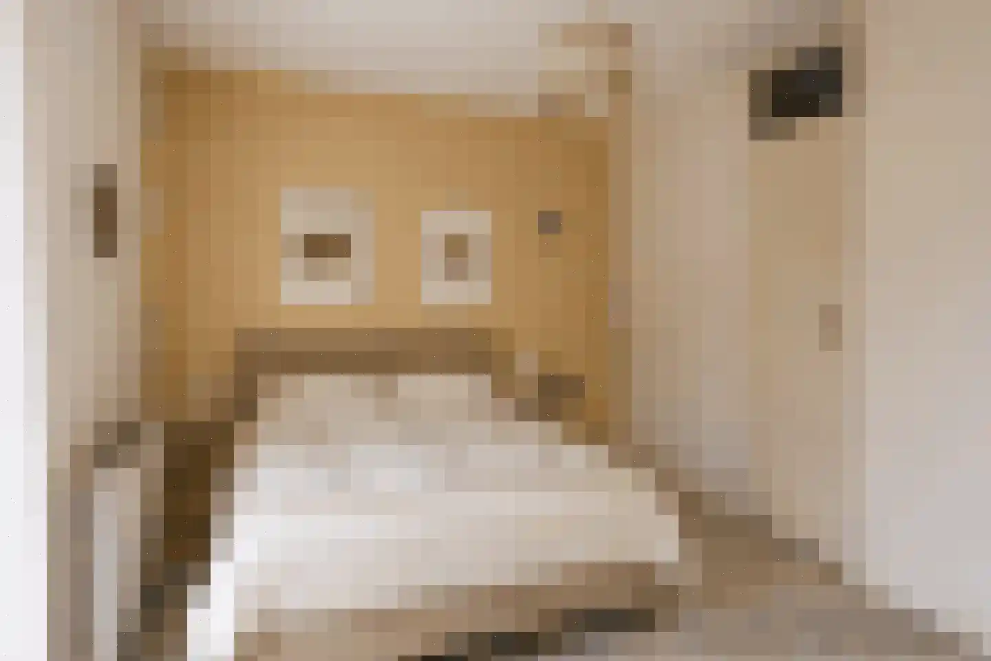 Loper 17 Epe thumbnail 20