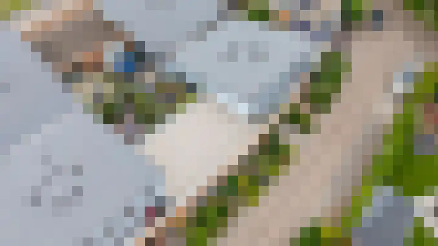 Loper 17 Epe thumbnail 39