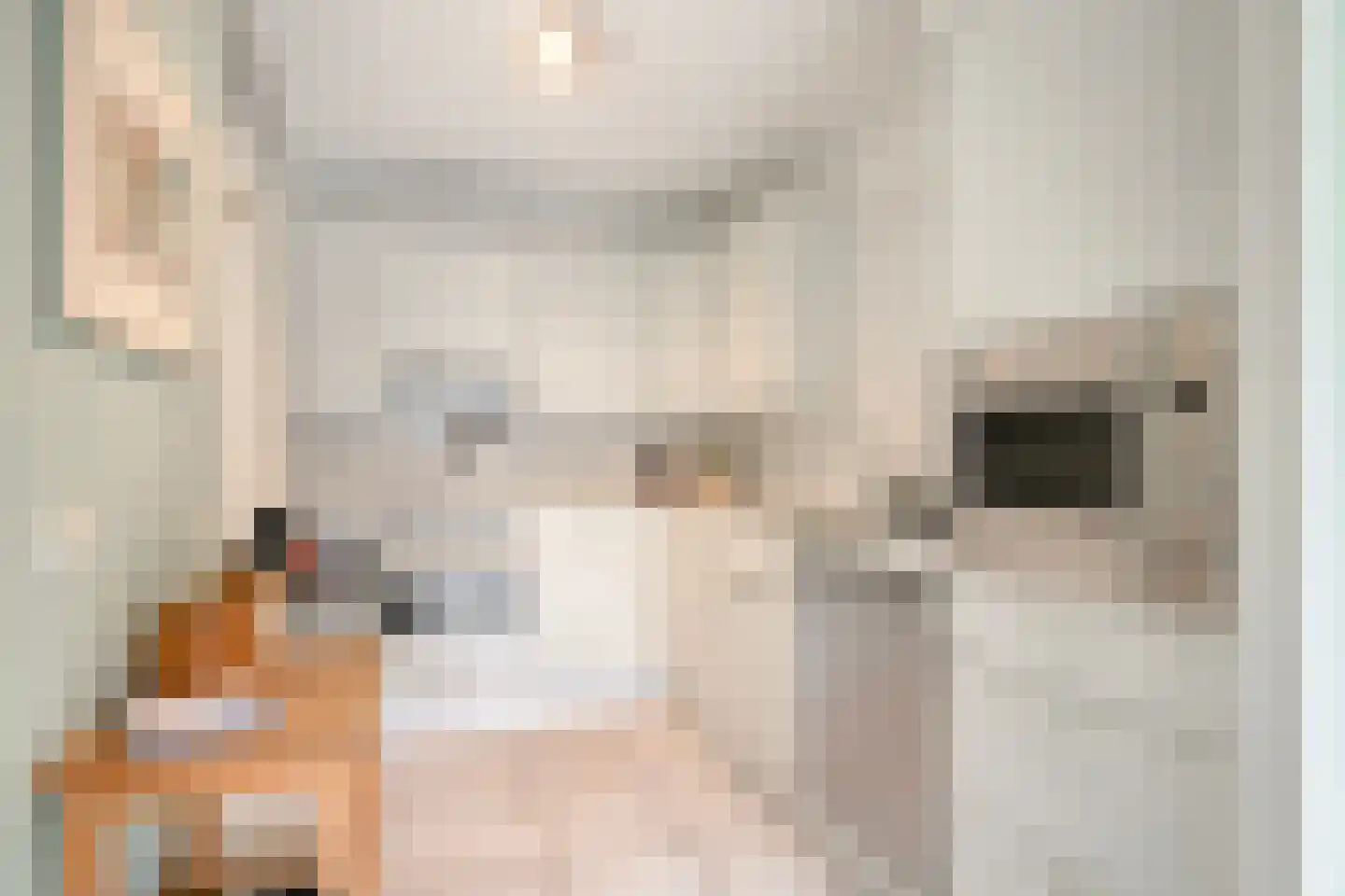 Loper 7 Epe thumbnail 14