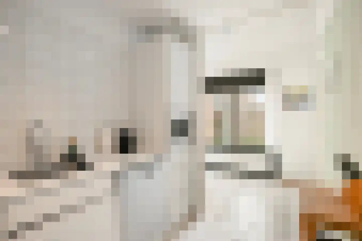 Loper 7 Epe thumbnail 15