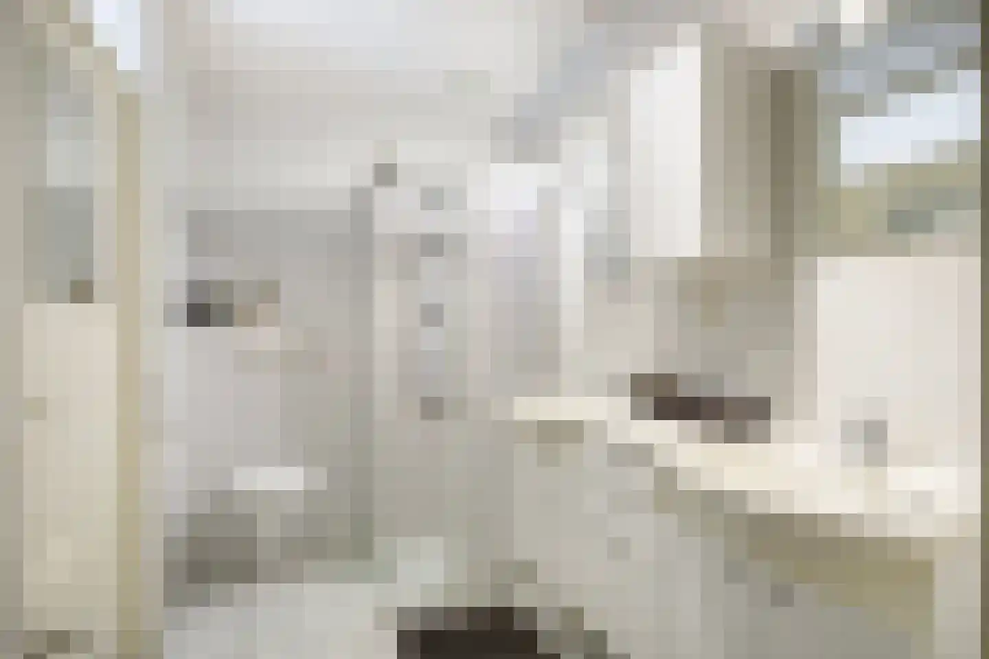Loper 7 Epe thumbnail 19