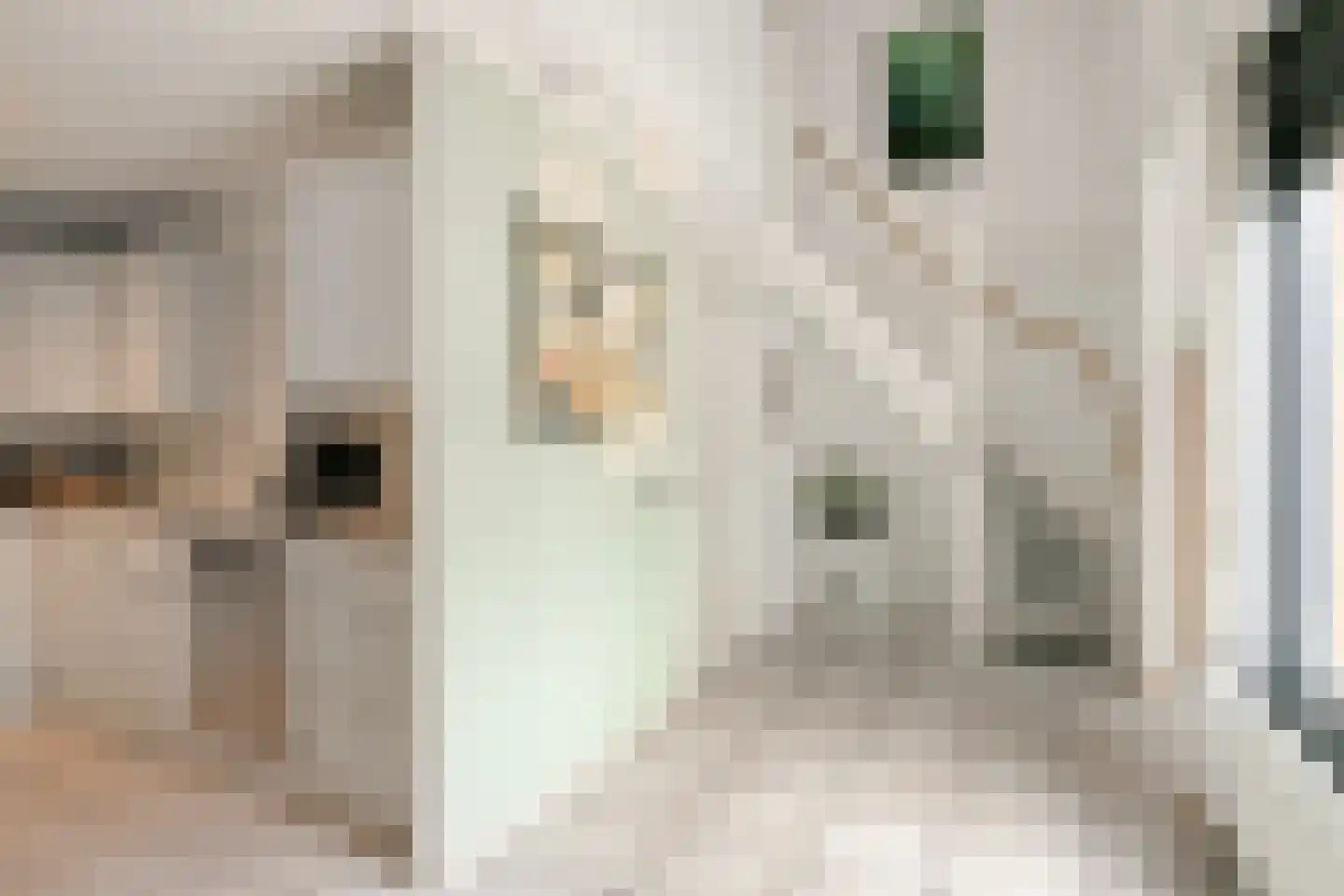 Loper 7 Epe thumbnail 21
