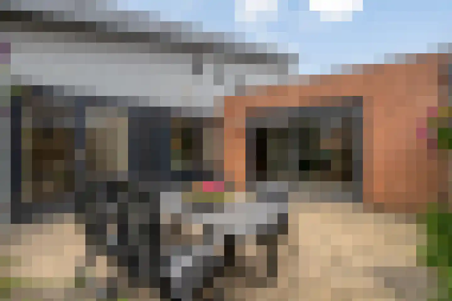 Loper 7 Epe thumbnail 28
