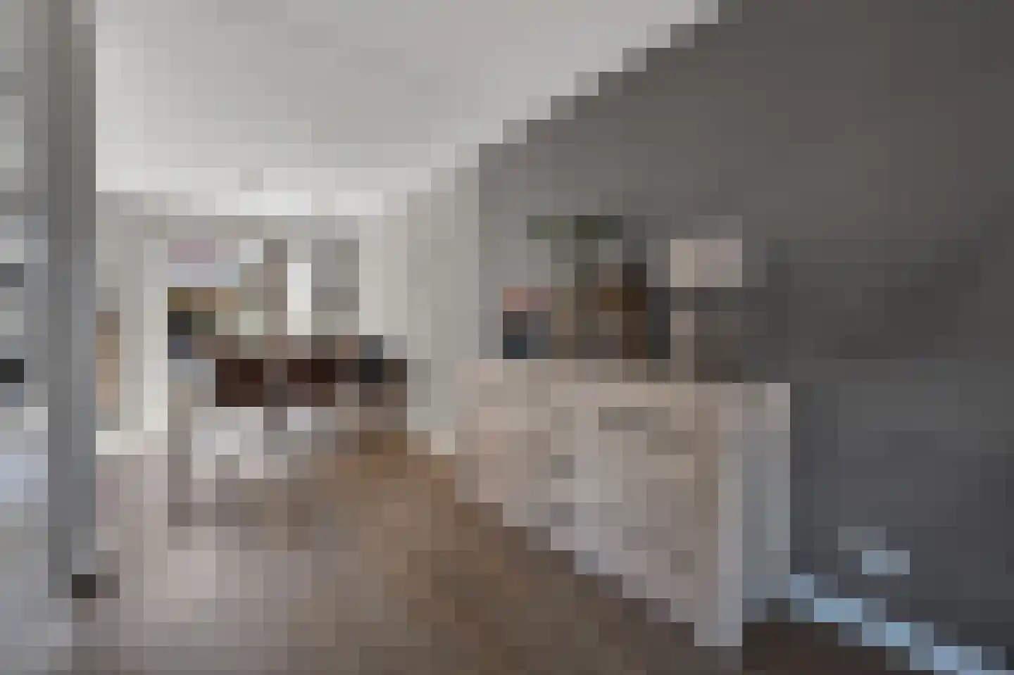 Loperstraat 1 Klazienaveen thumbnail 11