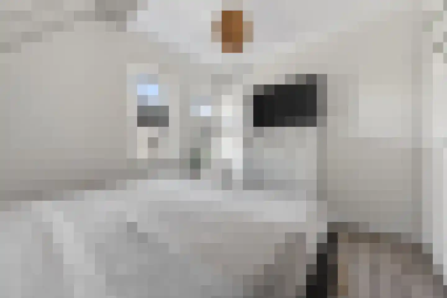 Loperstraat 1 Klazienaveen thumbnail 24