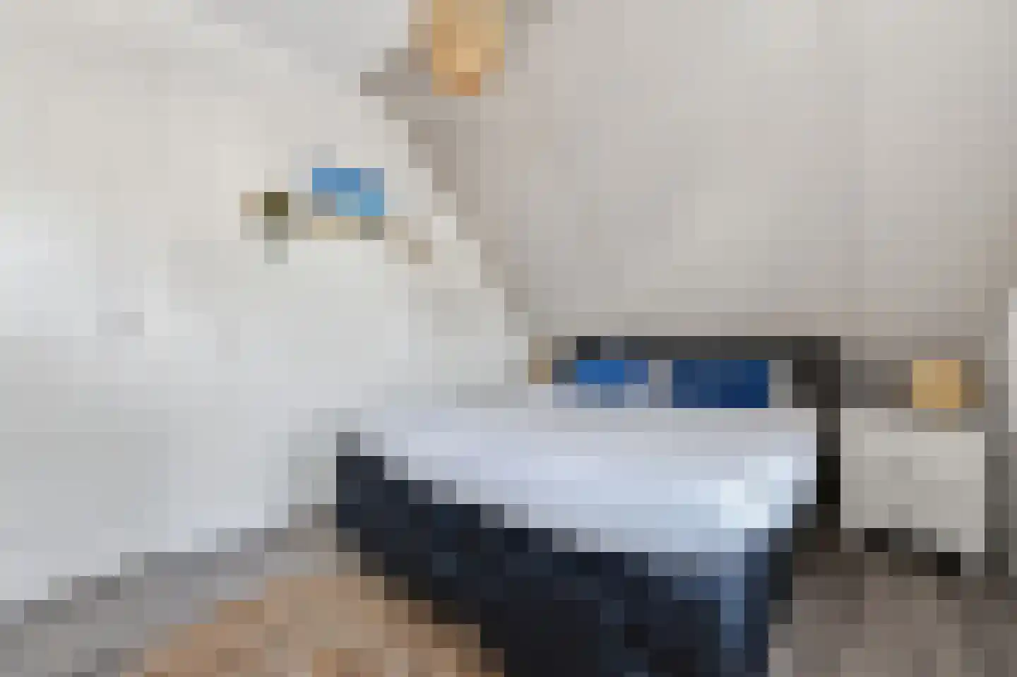 Loperstraat 1 Klazienaveen thumbnail 25
