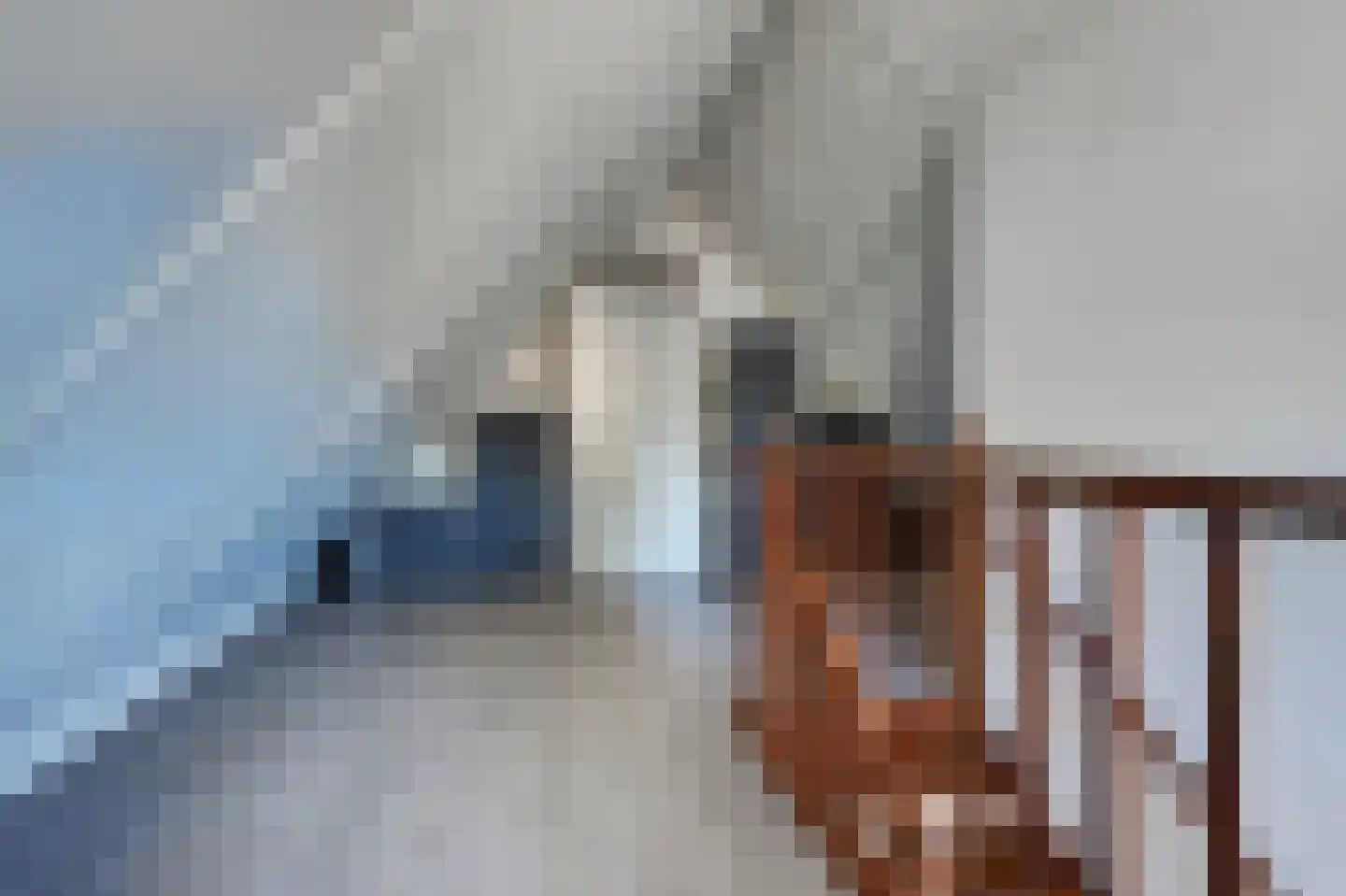 Loperstraat 1 Klazienaveen thumbnail 34