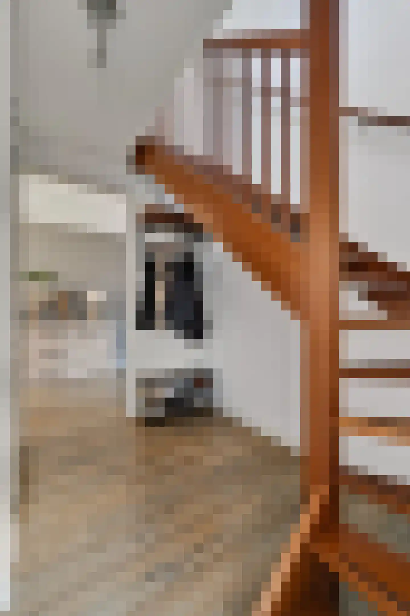 Loperstraat 1 Klazienaveen thumbnail 4