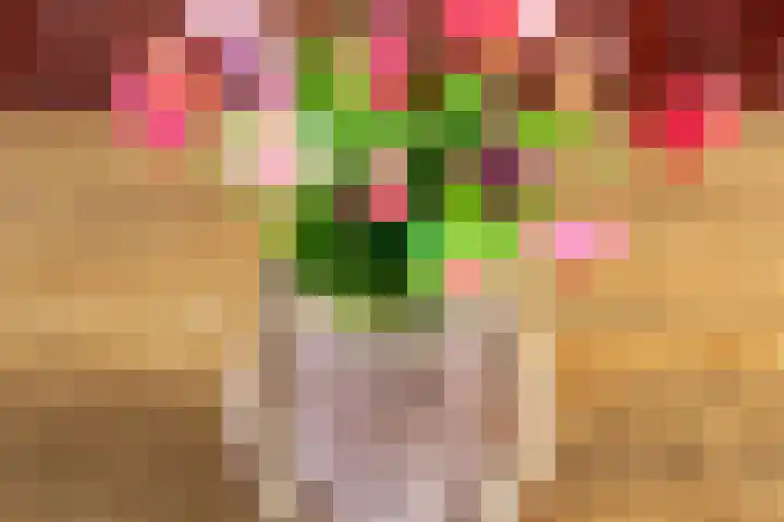 Loperstraat 15 Klazienaveen thumbnail 13