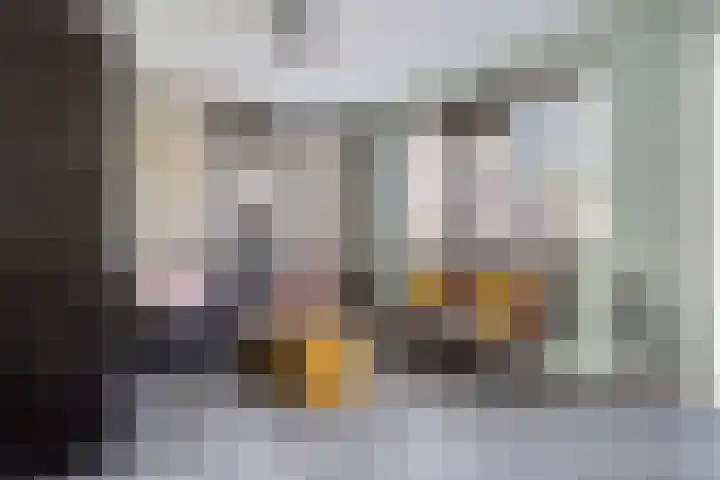 Loperstraat 15 Klazienaveen thumbnail 17