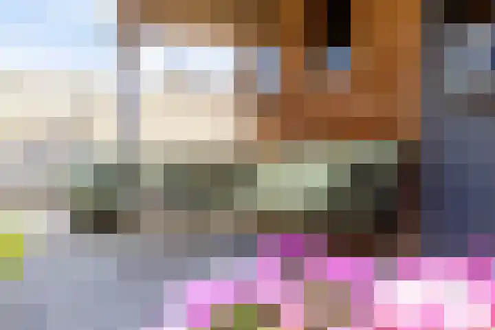 Loperstraat 15 Klazienaveen thumbnail 35