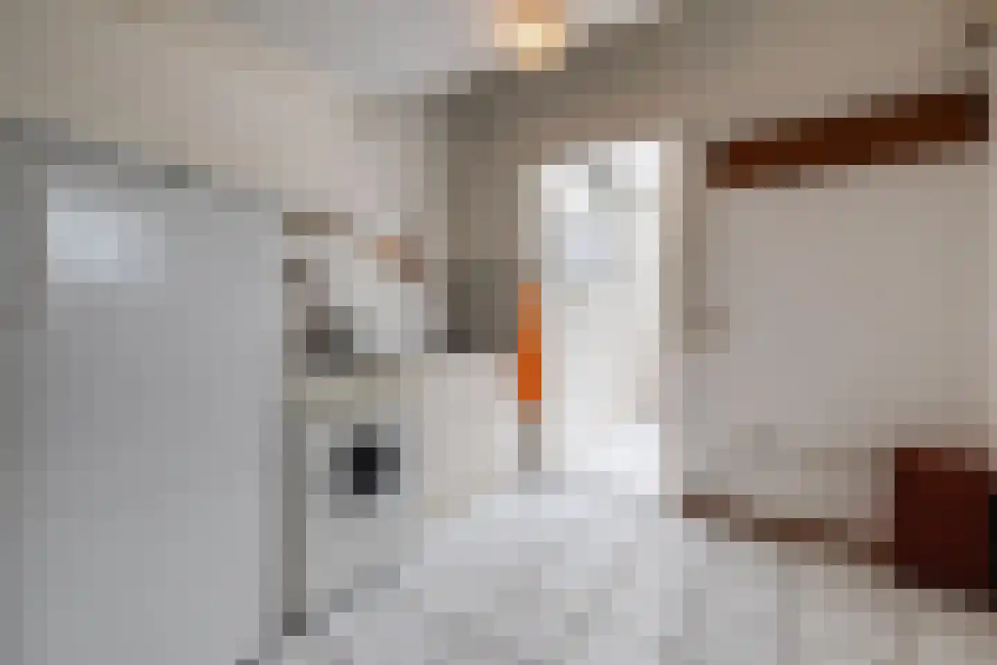 Loperweg 7 Echt thumbnail 26