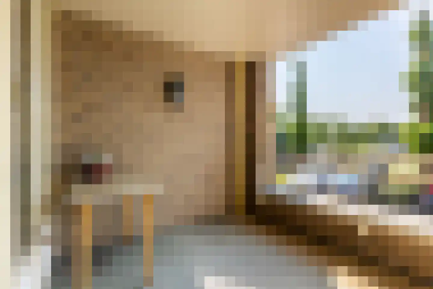 Lopikerhof 10 Schoonhoven thumbnail 14