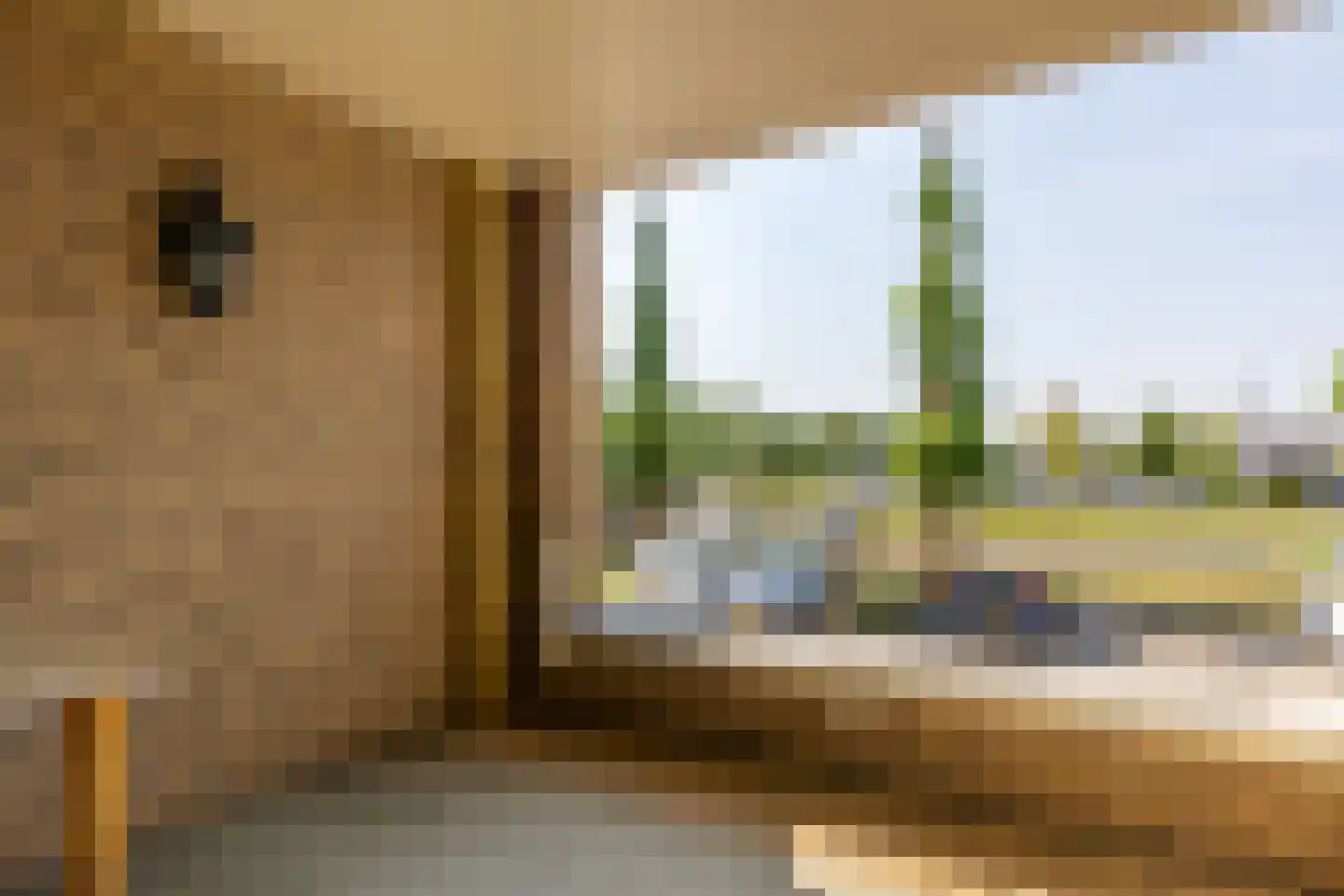 Lopikerhof 10 Schoonhoven thumbnail 15