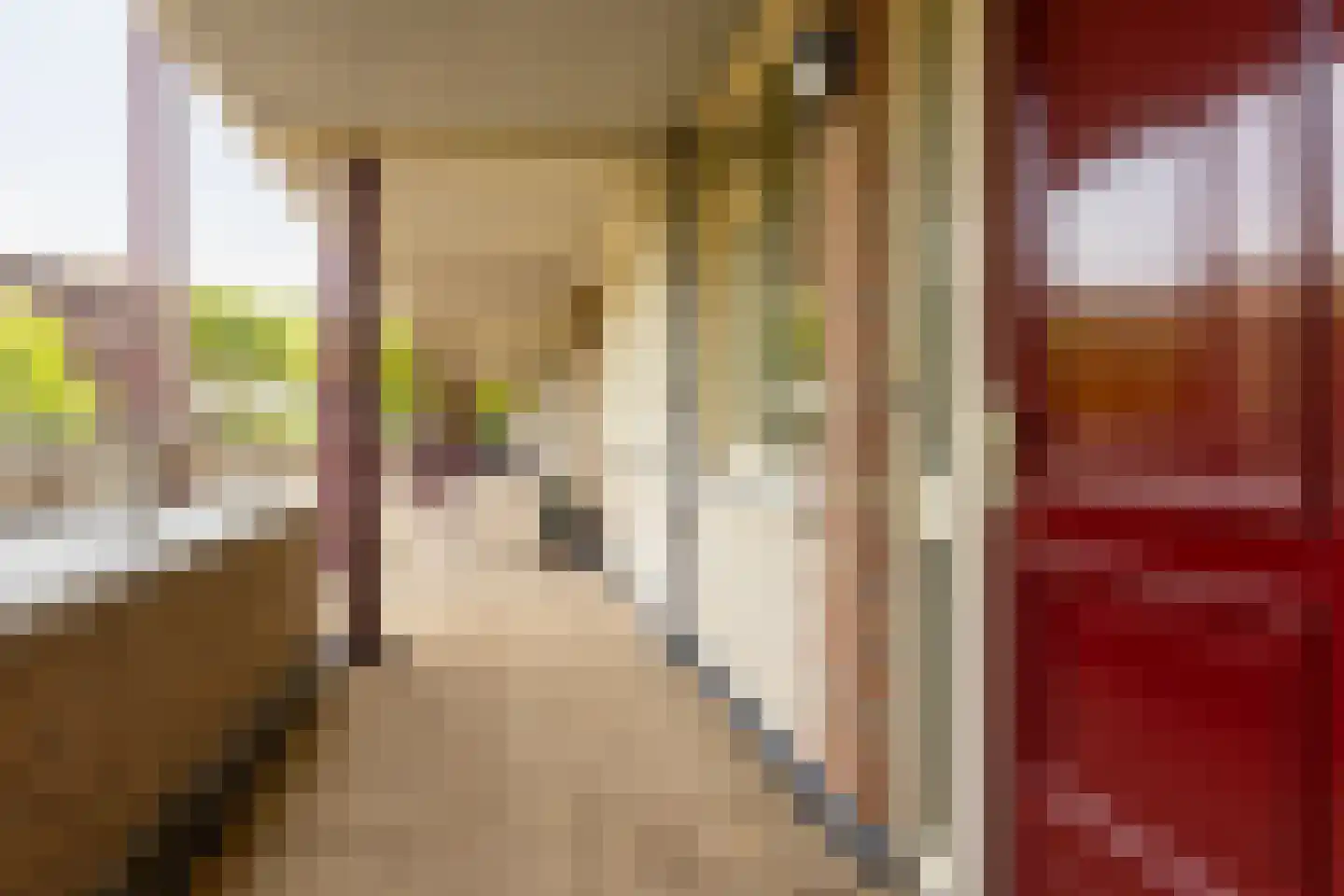 Lopikerhof 10 Schoonhoven thumbnail 32