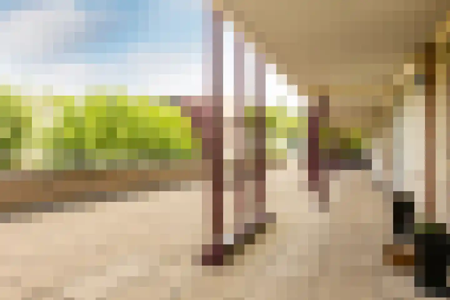 Lopikerhof 10 Schoonhoven thumbnail 33