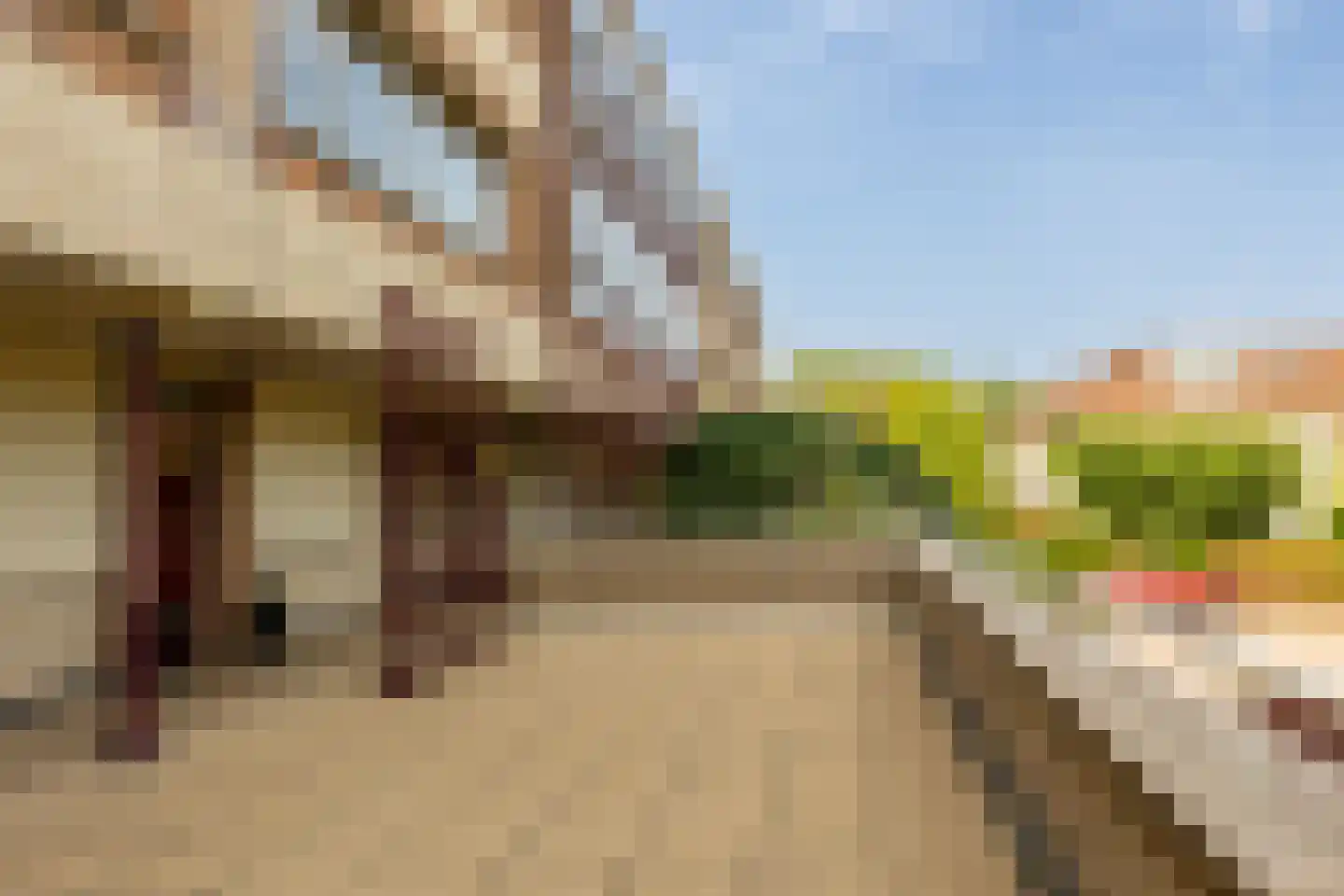 Lopikerhof 10 Schoonhoven thumbnail 34