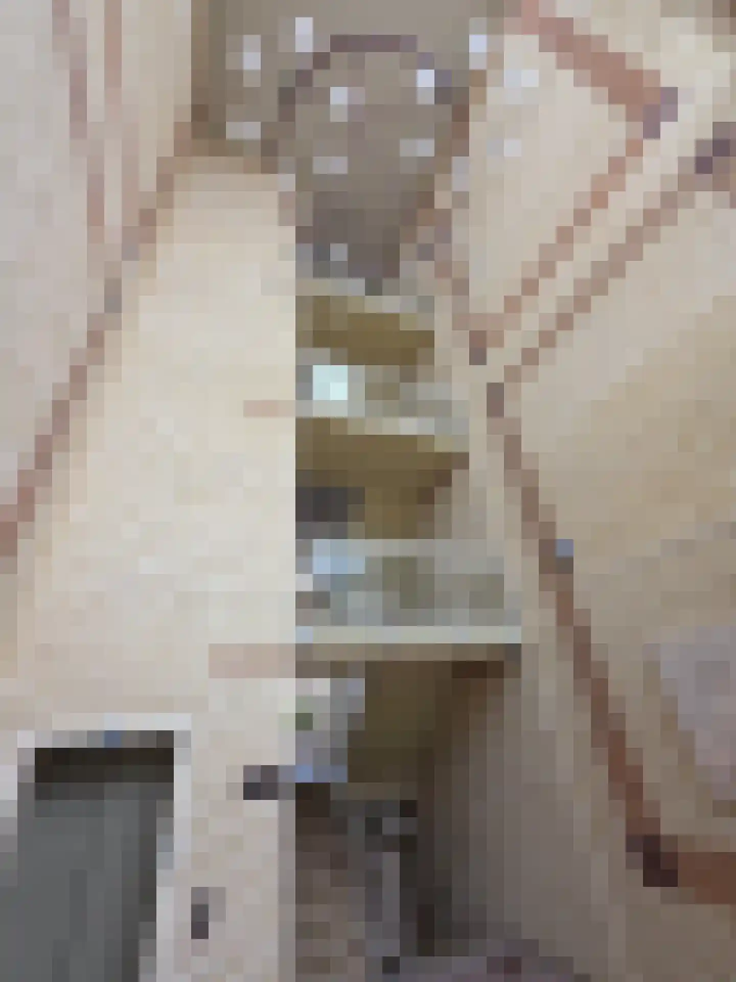 Lopikerhof 10 Schoonhoven thumbnail 35
