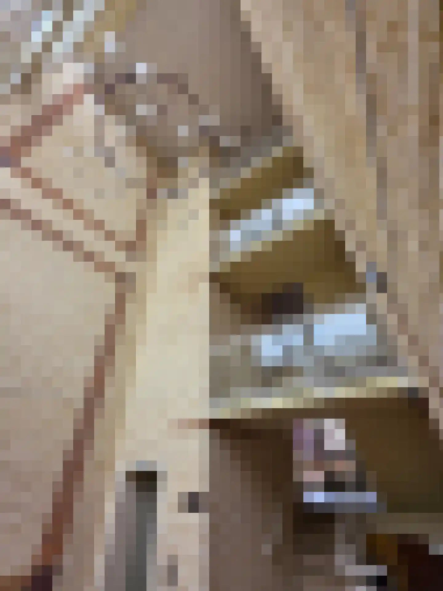 Lopikerhof 10 Schoonhoven thumbnail 36