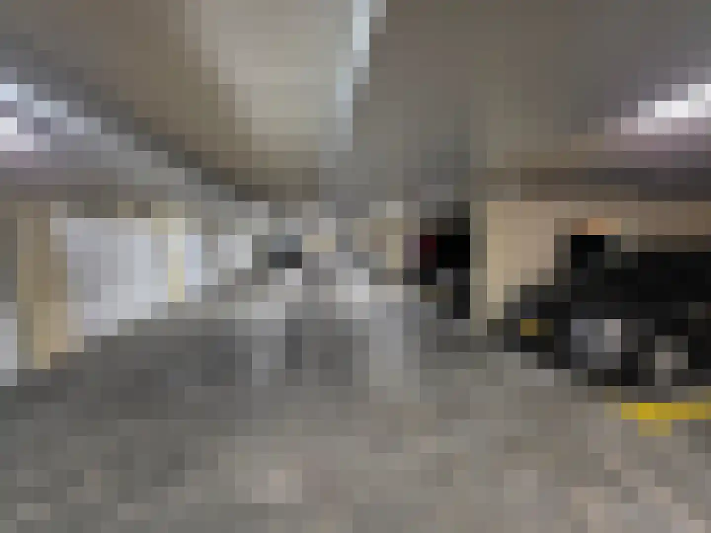 Lopikerhof 10 Schoonhoven thumbnail 38