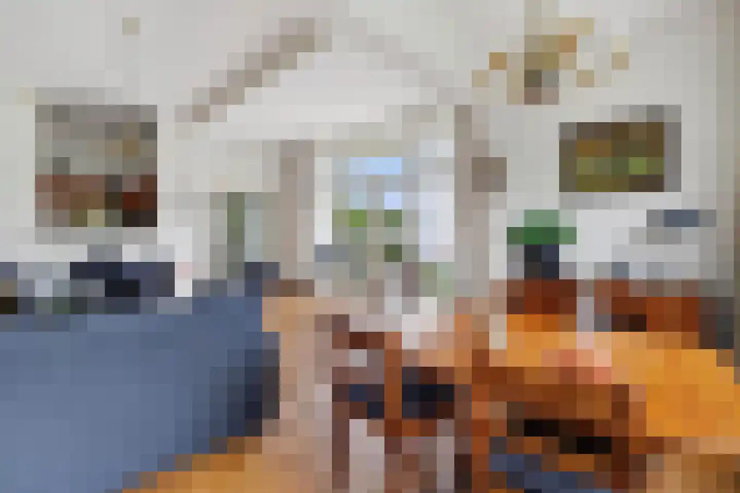 Lopikerhof 2 Schoonhoven thumbnail 14