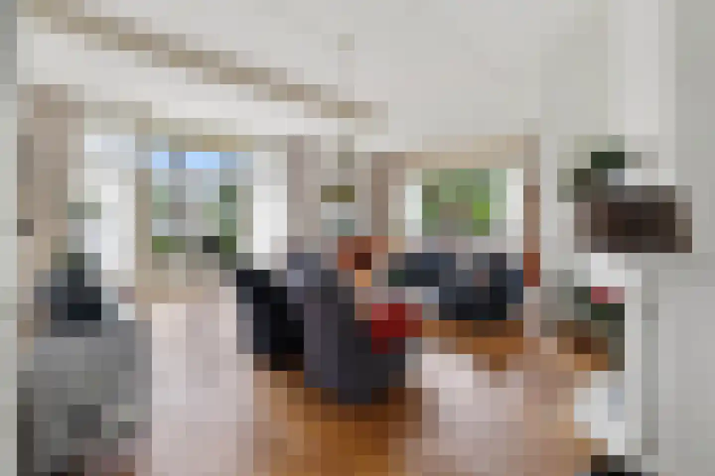 Lopikerhof 2 Schoonhoven thumbnail 17